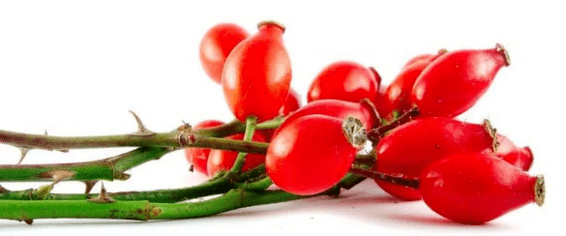 Rosehip baia zistitisarekin